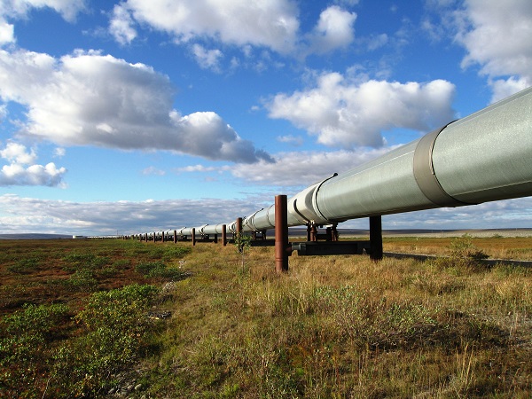 TAPS Pipeline in Alaska